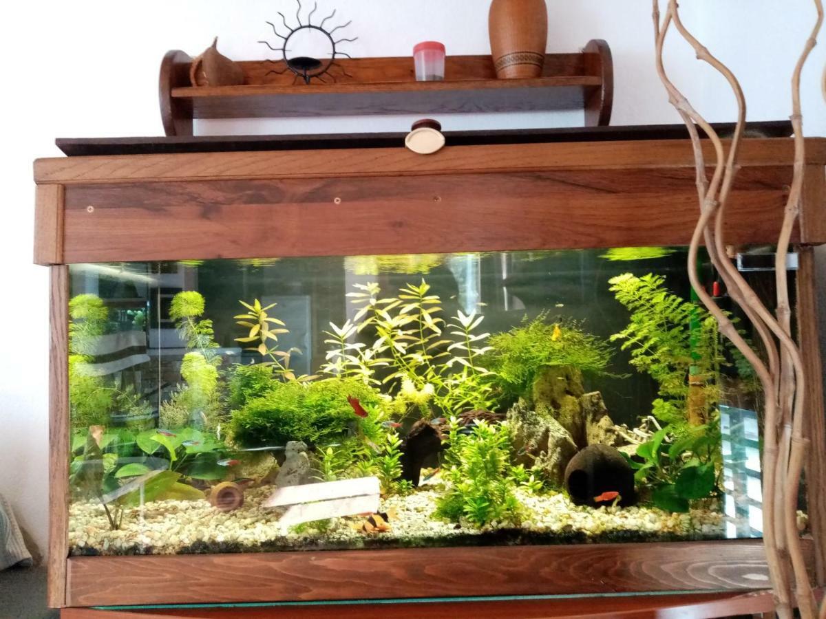 ילסה Apartment Sea View מראה חיצוני תמונה
